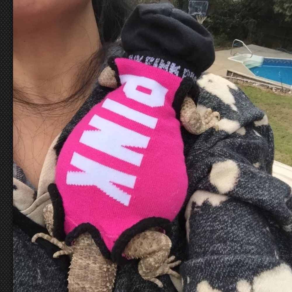 PINK VS SLEEVELESS HOODIE SHIRT 4 BEARDED DRAGON